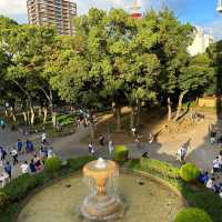 【神奈川】横浜スタジアムでの夏の一日、ベイスターズの輝き