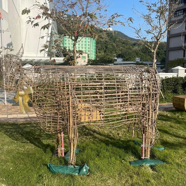 隱世薄鳧林牧場🐮舊牛奶公司職員宿舍❤️百年歷史