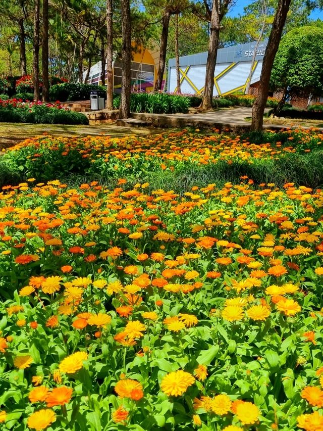 WEEKEND WELL SPENT, ROMANTIC VALLEY OF LOVE, DALAT