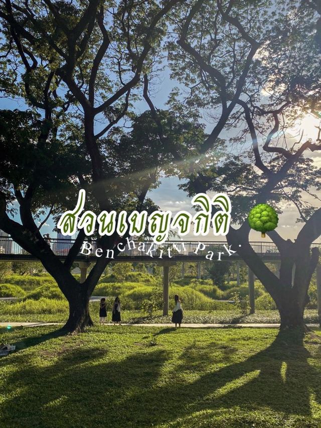 สวนป่าแห่งแรกกลางกรุงเทพฯ สวนเบญจกิติ 🌳