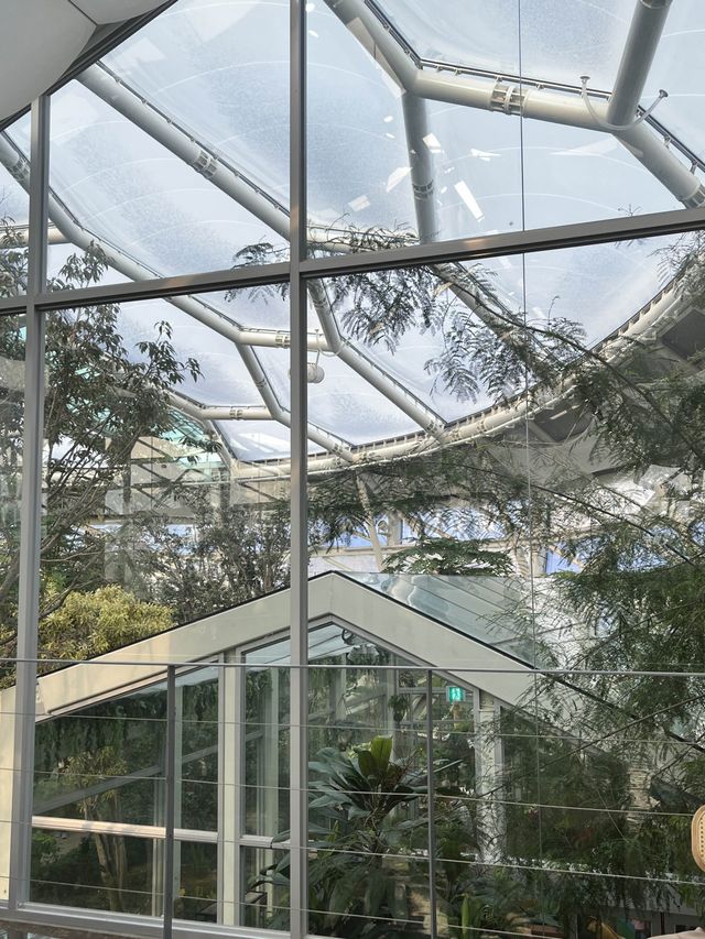 부천 실내 데이트로 강추하는 상동호수공원 수피아 식물원 🌿