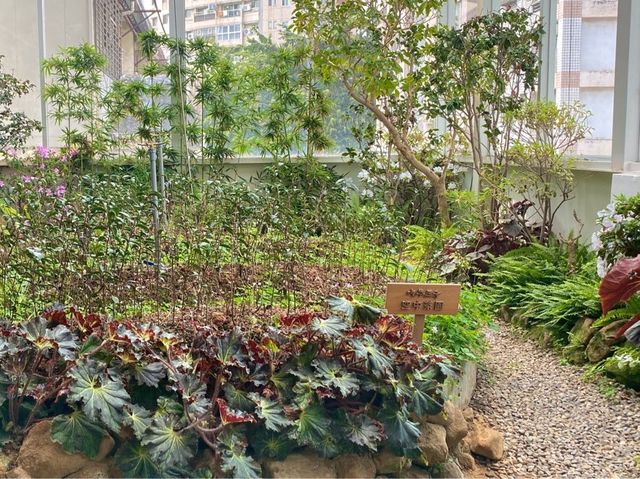 【 2023 台中美食 】網紅名店/吃茶三千🍵 珍珠奶茶 茶香濃郁系列