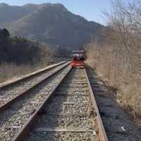 【 草泥馬牧場+南怡島+江村鐵路一天遊 】