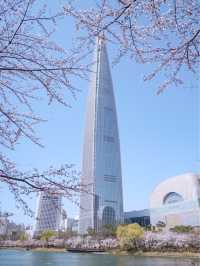 벚꽃 데이트는 석촌호수🫶🏻🌸