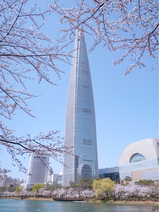 벚꽃 데이트는 석촌호수🫶🏻🌸
