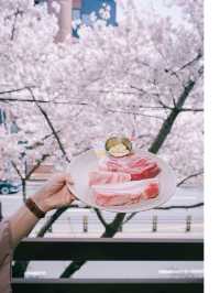 벚꽃뷰 대구 고기맛집 강씨목삼🌸👍