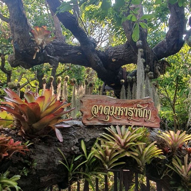 วัดถ้ำผาแด่น อันซีนวัดสวยบนเนินเขา @ สกลนคร