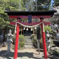 Mount Fuji view with pagoda! 