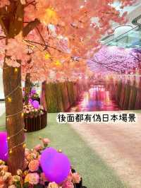 ⭐️原來係最後一日😱黃埔「5月限定櫻花🌸の旅」
