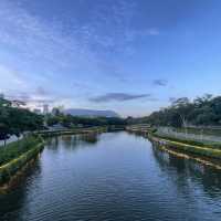 最美公園之深圳人才公園