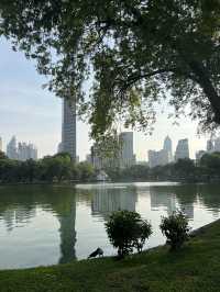 방콕에서 제일 추천하는 Lumphini park