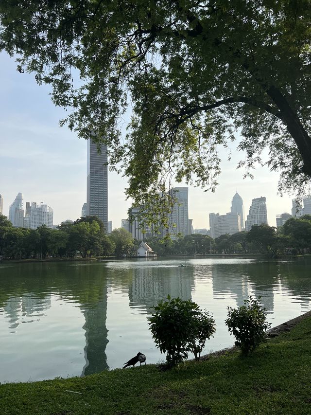 방콕에서 제일 추천하는 Lumphini park