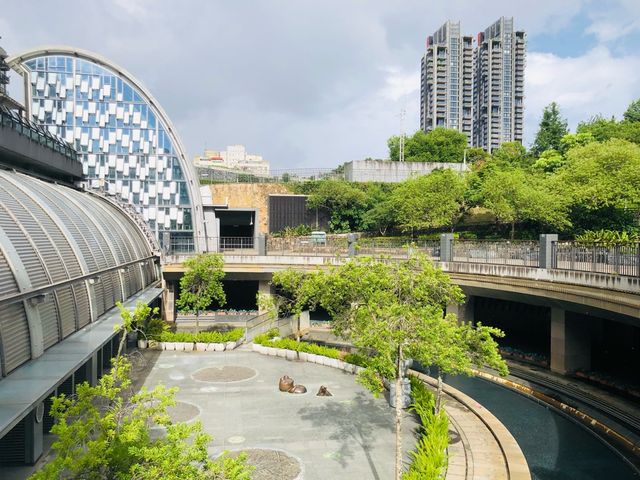 台北｜🐸🌳拍照好去處📍 Daan Forest Park 大安森林公園