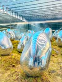 Digital Arts Journey at TeamLab Planets
