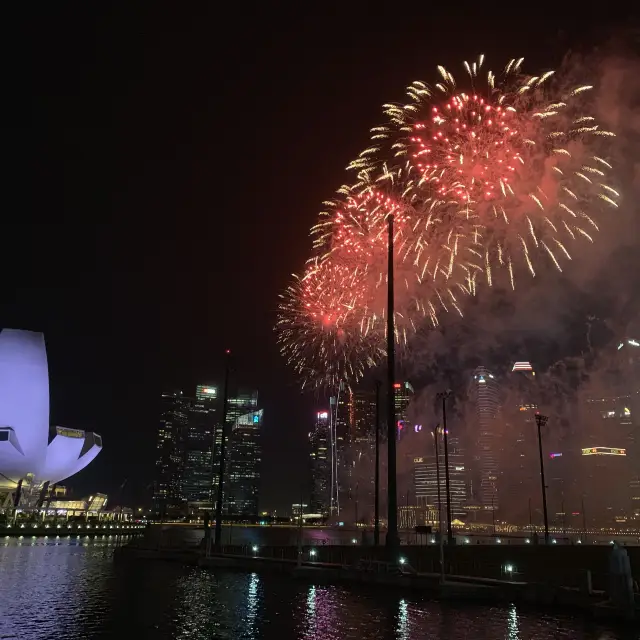 Best view of NDP Firework 🎇 