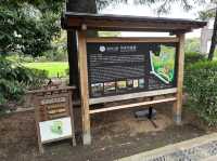 東京・北区。バラの季節には多くの品種の花が咲き誇るそうです『旧古河庭園』
