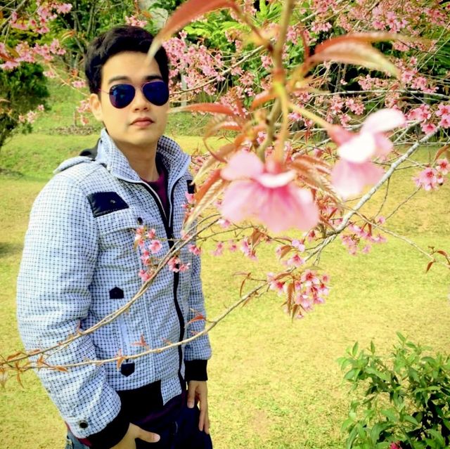 เที่ยวขุนช่างเคี่ยน  ชมนางพญาเสือโคร่ง