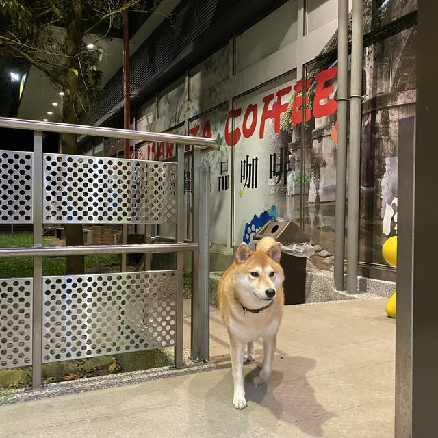關西服務區 🚗