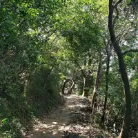 용의 등줄기를 따라서, 홍콩 드래곤스 백(Dragon's Back) 하이킹
