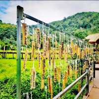 Fascinating Wat na khu ha