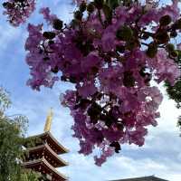 Asakusa, Day to Night