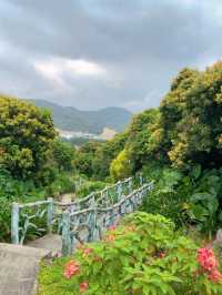 寶安公園～綠意盎然的遊樂天堂🌳🎠🌈 