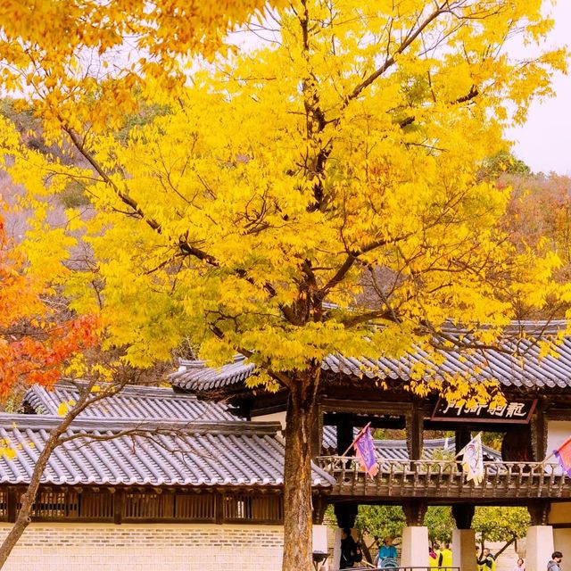 Discover amazing Autumn@ Korean Folk Village