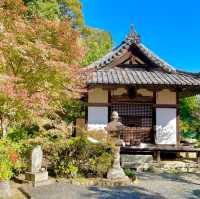 Joraku-ji: Zen Oasis Unveiled