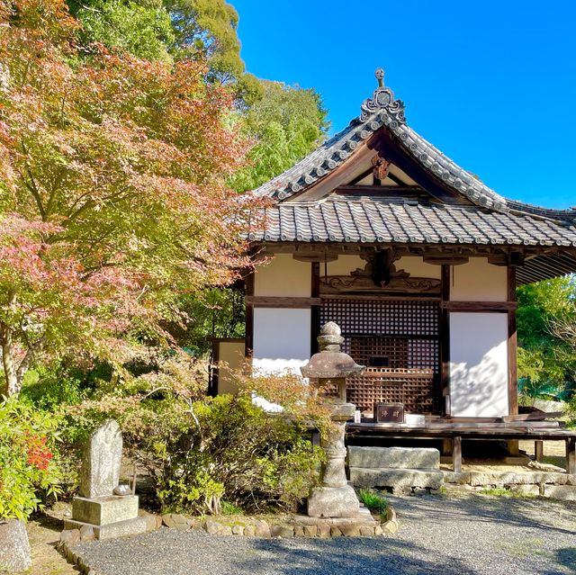 Joraku-ji: Zen Oasis Unveiled