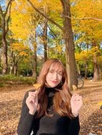 この時期におすすめ🧡秋ピクニックもうした？☺️🍁🍂🧺【東京・代々木公園】