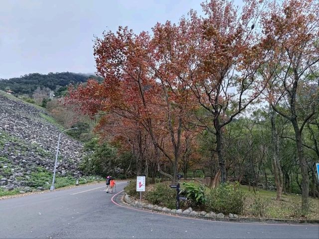 桃園石門水庫風景區