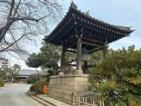【豪徳寺】招き猫に囲まれるしあわせ♡
