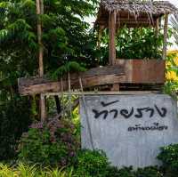ผัดไทยกุ้งมังกร ร้านอาหารท้ายราง พังงา