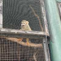 BONANZA EXOTIC ZOO มาดูกันว่าเด็ก ๆ จอยแค่ไหน ✨