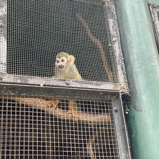 BONANZA EXOTIC ZOO มาดูกันว่าเด็ก ๆ จอยแค่ไหน ✨