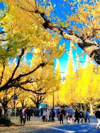 BEEN THERE, DONE THAT, AUTUMN IN JAPAN