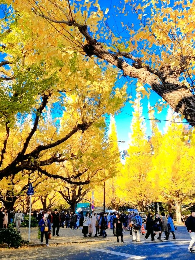 BEEN THERE, DONE THAT, AUTUMN IN JAPAN