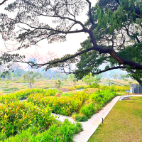 🏞️ปอดกลางกรุง