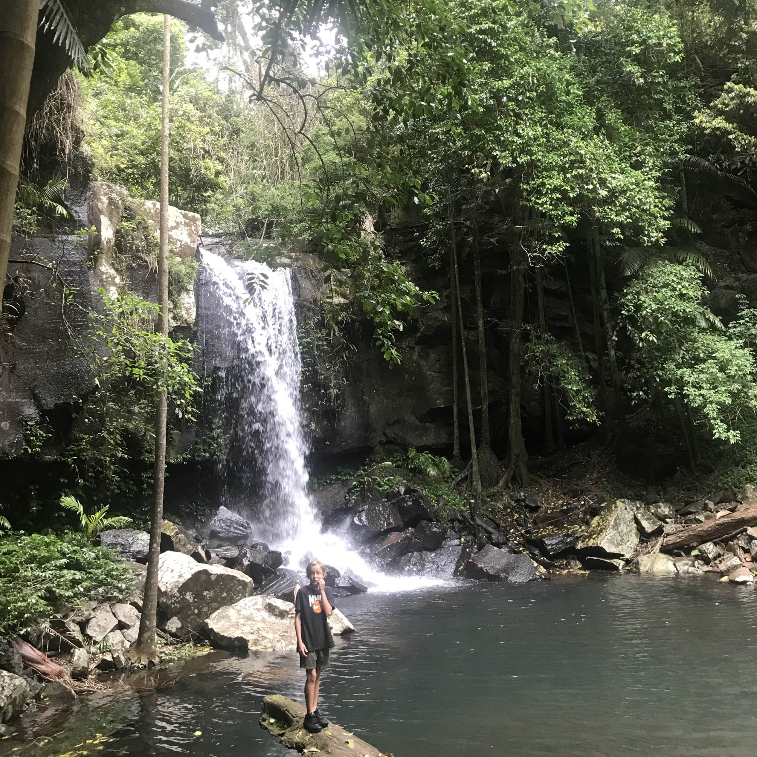 Mount Tamborine Travel Guide 2023 Things to Do, What To Eat & Tips