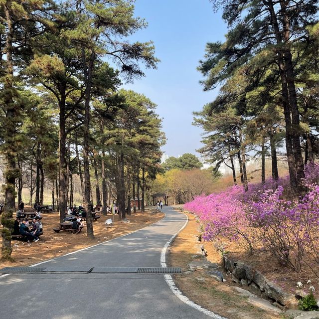 봄꽃 가득한 물향기 수목원🌿