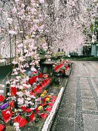 京都市中心「頂法寺」可愛鴿子御守