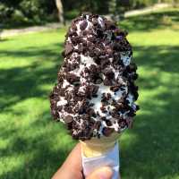 【トロント】無料でいける最大級の公園ハイパーク (High Park)