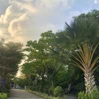สวนขนาดยักษ์ที่สิงคโปร์ Gardens by the bay