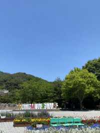 산책하러 가기 좋은 서울 근교 용문사⛰️💚