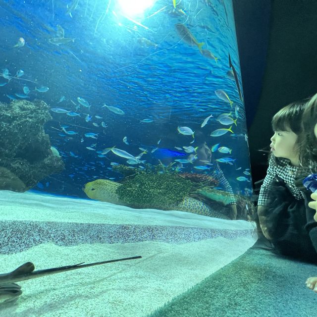 雨の日に水族館に行ってきた❤️