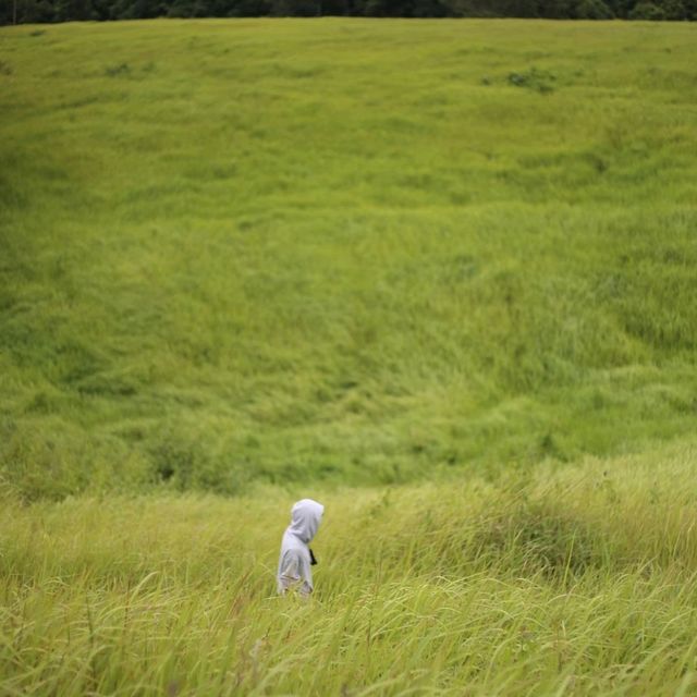 อุทยานแห่งชาติเขาใหญ่ น้ำผุดธรรมชาติ ปากช่องในฤดูฝน