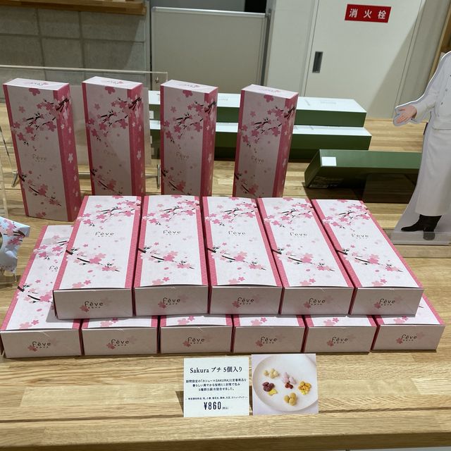 ［關西機場住宿推薦］天然溫泉海茵娜飯店 (Henn na Hotel Kansai Airport Natural Hot Springs)
