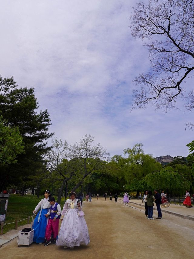 Meet me at Gyeongbokgung Palace 💫