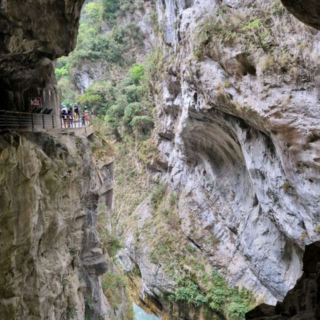 trying to spot swallows in Taroko Gorge 