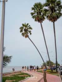 🌴🌴🌴 ตาล 3 ต้น จุดเช็คอินสุดชิคริมชายทะเล
